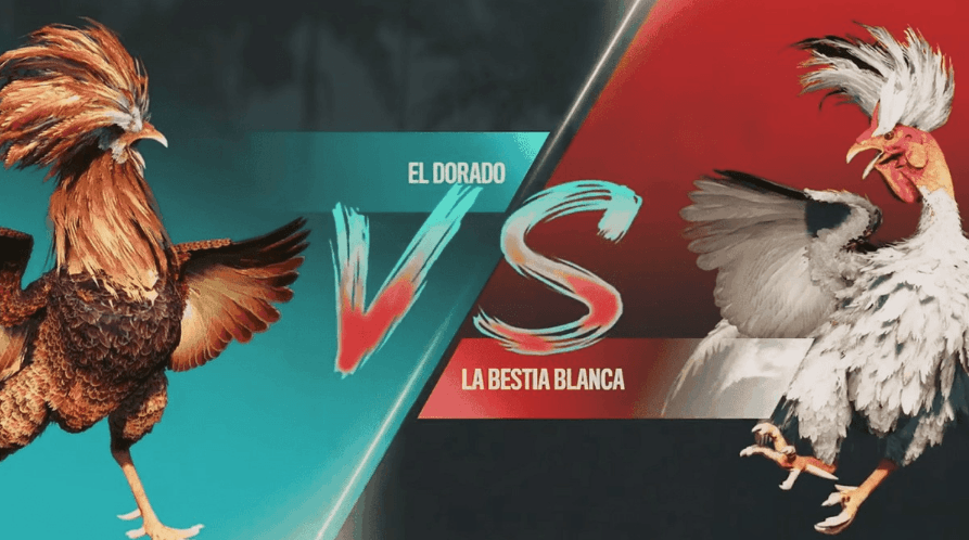 36game Cassinos de videogames
